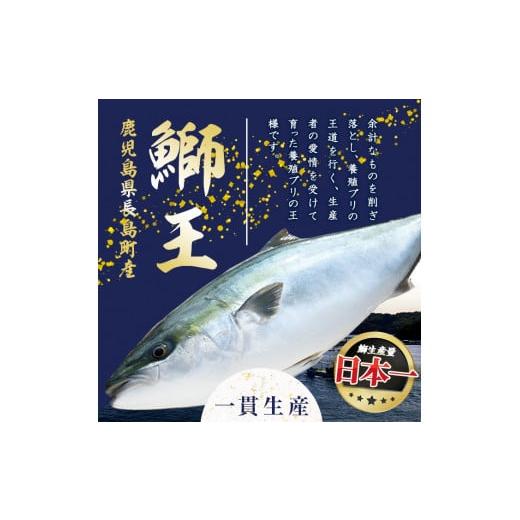 ふるさと納税 ぶりの王様「 鰤王 」 漬け鰤王（ぶりおう）6袋 12食分 ご飯のお供 漬け丼 で旨味が抜群に味わえる 長島町 特産品 ブランド ...
