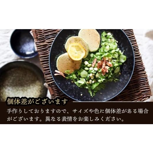 ふるさと納税 食器・グラス 皿 岐阜県 瑞浪市  美濃焼 テラグラーズ ヌードルボウル インディゴ 1客 瑞浪市 ／ アワサカ 食器 鉢 ボウル AZAD010_5