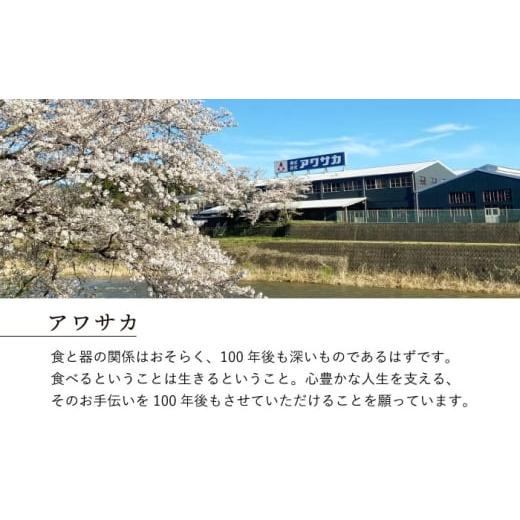 ふるさと納税 食器・グラス 皿 岐阜県 瑞浪市  美濃焼 テラグラーズ ヌードルボウル インディゴ 1客 瑞浪市 ／ アワサカ 食器 鉢 ボウル AZAD010_6
