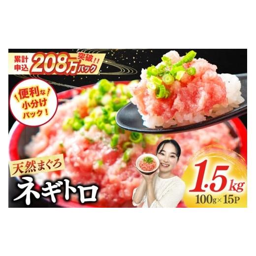 ふるさと納税 マグロ 静岡県 吉田町 1月発送 ネギトロ 15パック(計1.5kg) レビューキャンペーン 1月発送 15パック(計1.5kg)