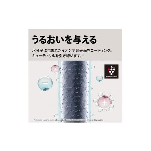 ふるさと納税 美容・健康家電 大阪府 八尾市 H185 SHARP プラズマ