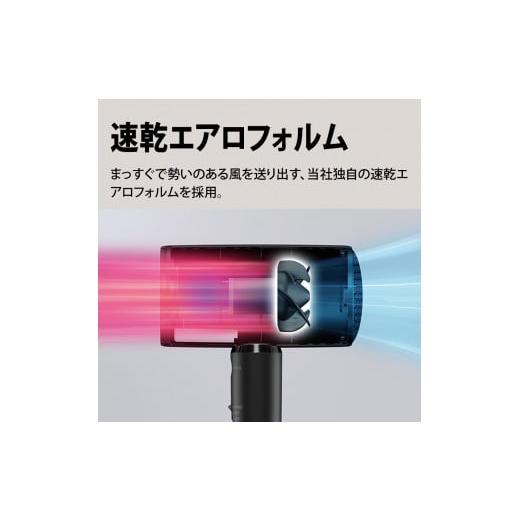 ふるさと納税 美容・健康家電 大阪府 八尾市 H185 SHARP プラズマ