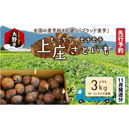 ふるさと納税 人参・大根・他根菜 福井県 大野市 先行予約 11月発送分 満天 上庄産さといも3kg 日本一の味をめざし、有機肥料配合、減農薬栽培の「独自栽培」…