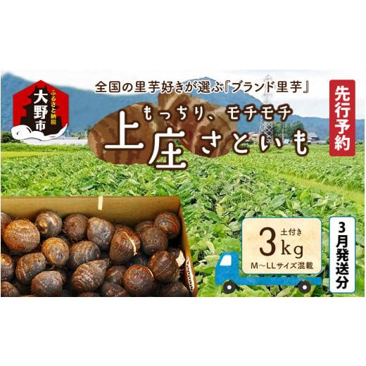 ふるさと納税 人参・大根・他根菜 福井県 大野市 先行予約 3月発送分 満天 上庄産さといも3kg 日本一の味をめざし、有機肥料配合、減農薬栽培の「独自栽培」…