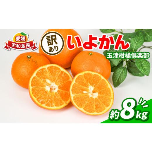 ふるさと納税 果物類 みかん 愛媛県 宇和島市 先行予約 訳あり いよかん 8kg 玉津柑橘倶楽部 伊予柑 甘い ジューシー プリプリ 果物 くだもの フルーツ 柑橘 …