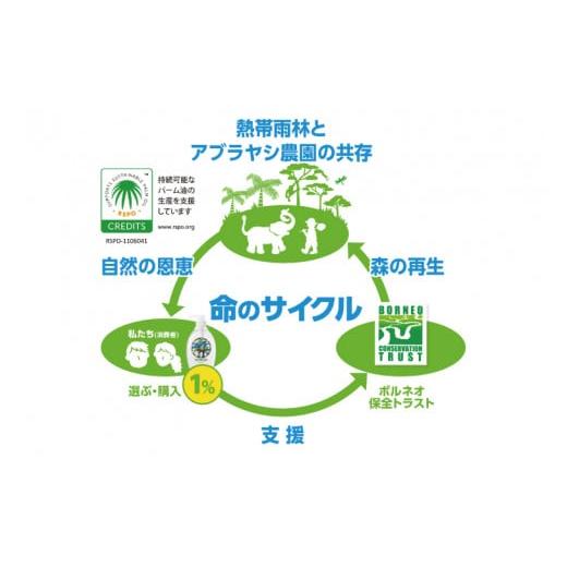 ふるさと納税 雑貨・日用品 茨城県 北茨城市  詰め合わせBOX ヤシノミ洗剤　ポンプタイプ500ｍｌ＋ヤシノミ洗剤　詰替タイプ1L(CL309-S-YD6)_2