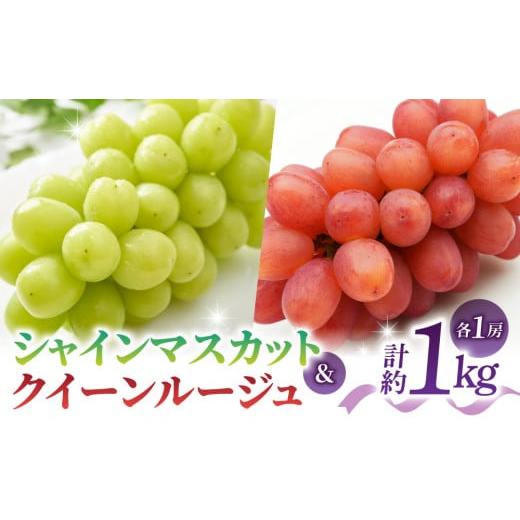 ふるさと納税 ぶどう 長野県 東御市 先行受付2026年発送 さとのみ果樹園 シャインマスカット&クイーンルージュ(R)各1房(計1kg以上) 2026年9月中旬〜10月中…