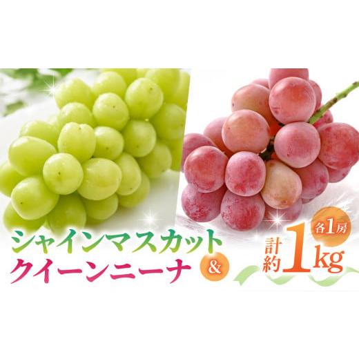 ふるさと納税 ぶどう 長野県 東御市 先行受付2026年発送 さとのみ果樹園 シャインマスカット&クイーンニーナ各1房(計1kg以上) 2026年9月中旬〜10月中旬順…