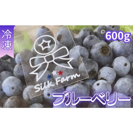 ふるさと納税 果物類 埼玉県 加須市 シルクファーム産 冷凍ブルーベリー600g(300g×2パック) 冷凍ブルーベリー600g(300g×2パック)