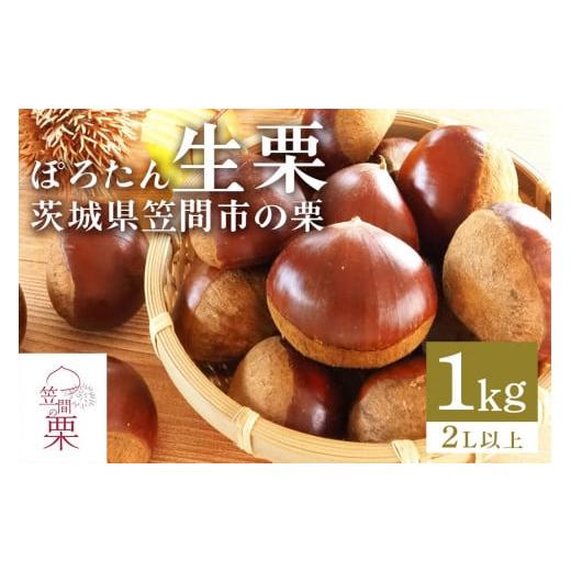 ふるさと納税 果物類 栗 茨城県 笠間市 2025年 秋 先行予約 笠間の栗・箱田農園の生栗「ぽろたん」1kg(2L以上) 栗 クリ くり 生栗 期間限定 数量限定 茨城…