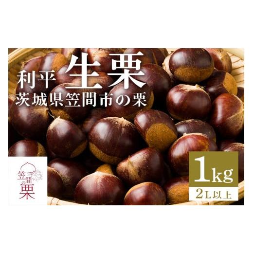 ふるさと納税 果物類 栗 茨城県 笠間市 2025年 秋 先行予約 笠間の栗・箱田農園の生栗「利平」1kg(2L以上) 栗 クリ くり 生栗 期間限定 数量限定 茨城県 笠…