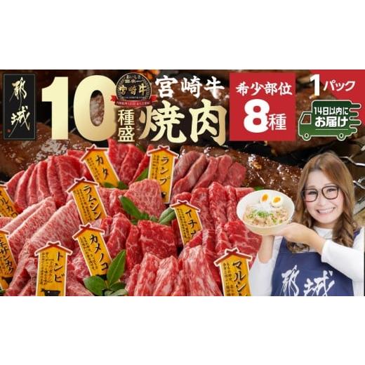 ふるさと納税 牛肉 焼肉・バーベキュー 宮崎県 都城市 宮崎牛食べ比べ10種盛り焼肉セット みやこんじょ快速便 _17-3102-R_(都城市) 都城産 宮崎牛 A4ランク 焼…