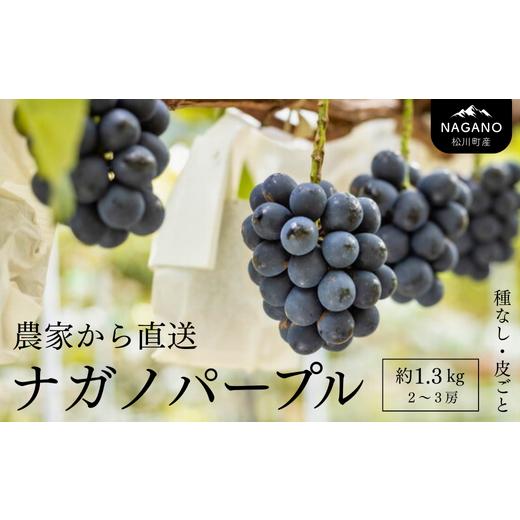 ふるさと納税 果物類 ぶどう 長野県 松川町 ナガノパープル 贈答 約1.3kg 長野県松川町産 KG15 //ぶどう 果物 フルーツ 贈答 産地直送 約1.3kg(2〜3房)