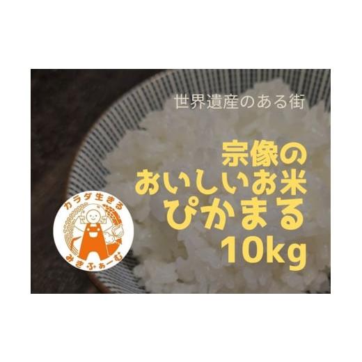 ふるさと納税 米 福岡県 宗像市 令和7年産 むなかた産 ぴかまる 10kg