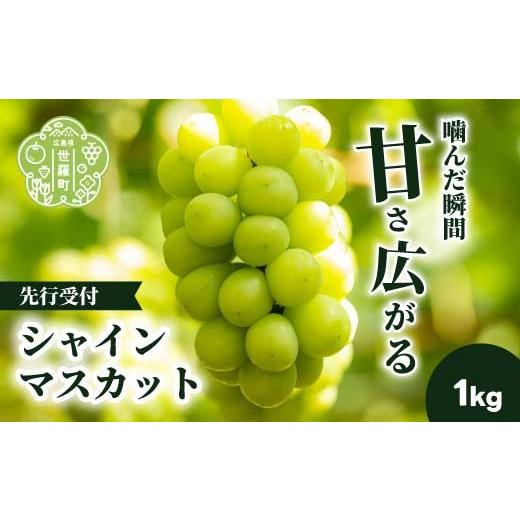 ふるさと納税 ぶどう マスカット 広島県 世羅町 シャインマスカット1kg (2房) 2026年10月上旬以降順次発送 安井農園 ぶどう ブドウ 葡萄 ピオーネ フルーツ 果…