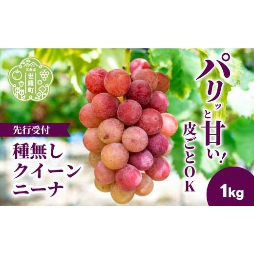 ふるさと納税 果物類 ぶどう 広島県 世羅町 種無しクイーンニーナ1kg (2房) 数量限定 2026年9月上旬以降順次発送 先行予約 安井農園 ぶどう ブドウ 葡萄 ピオ…
