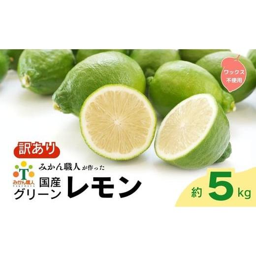 ふるさと納税 みかん・柑橘類 愛媛県 愛南町 訳あり レモン(グリーンレモン) 5kg りのか ワックス不使用 減農薬 レモン グリーンレモン 農家直送 こだわり …