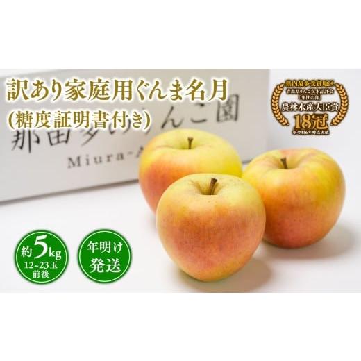 ふるさと納税 りんご 青森県 平川市 訳あり 家庭用ぐんま名月約5kg(糖度証明書付き) 青森県 平川市 那由多のりんご園 家庭用 青森 青森県産 平川 りんご リ…