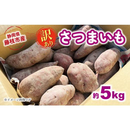 ふるさと納税 野菜類 サツマイモ 静岡県 藤枝市 2025年11月〜順次発送予定 訳あり さつまいも 約5kg 安納芋 紅はるか シルクスイート 栽培期間中 化学肥料 農…
