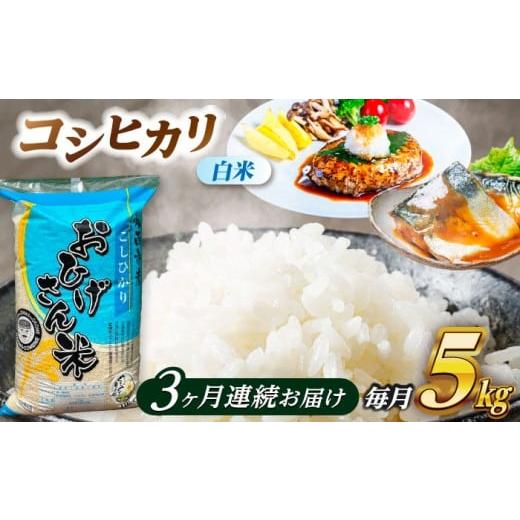 ふるさと納税 米 コシヒカリ 愛知県 愛西市 3回定期便 コシヒカリ 白米 5kg×3ヵ月 愛西市 / 脇野コンバイン