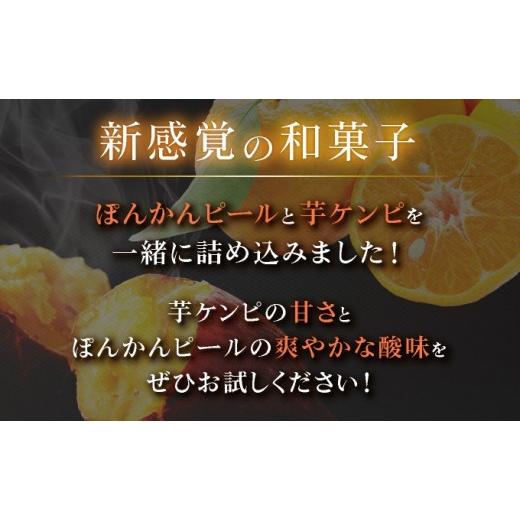 ふるさと納税 菓子 高知県 東洋町 ぽんかんケンピ10袋セット 受取日指定可 F146_2
