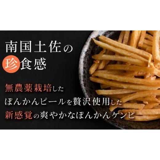 ふるさと納税 菓子 高知県 東洋町 ぽんかんケンピ10袋セット 受取日指定可 F146_4