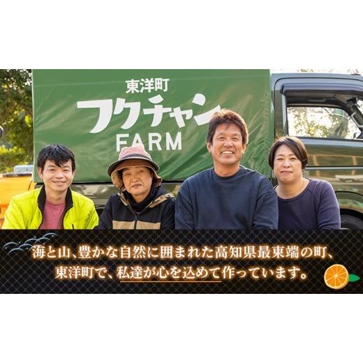 ふるさと納税 菓子 高知県 東洋町 ぽんかんケンピ10袋セット 受取日指定可 F146_5