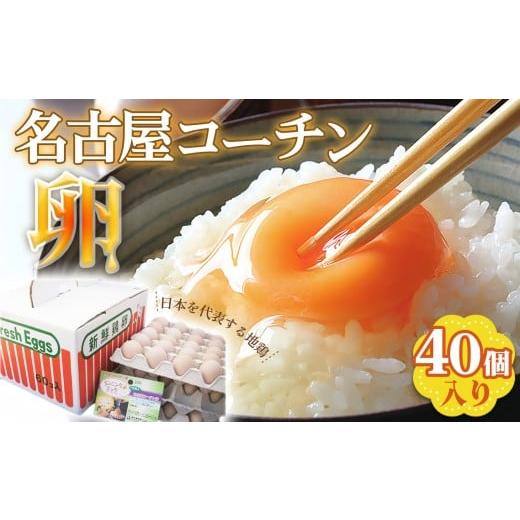 ふるさと納税 卵(鶏、烏骨鶏等) 愛知県 阿久比町 日本を代表する地鶏 名古屋コーチン卵 40個入 / ブランドたまご ブランド卵 ブランド玉子 卵 たまご タ…