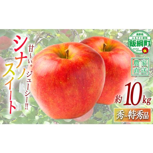 ふるさと納税 りんご 長野県 飯綱町 りんご シナノスイート 秀 〜 特秀 10kg 永正の地蔵尊神谷農園 2026年10月上旬頃から2026年12月上旬頃まで順次発送予定 令…