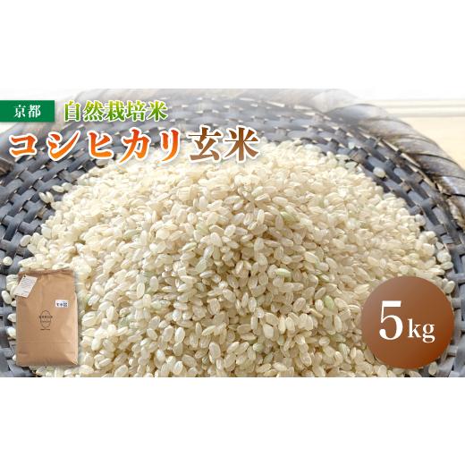 ふるさと納税 玄米 京都府 舞鶴市 令和7年度産 新米 自然栽培米 こしひかり 5kg 玄米 玄米5kg(20,000円)