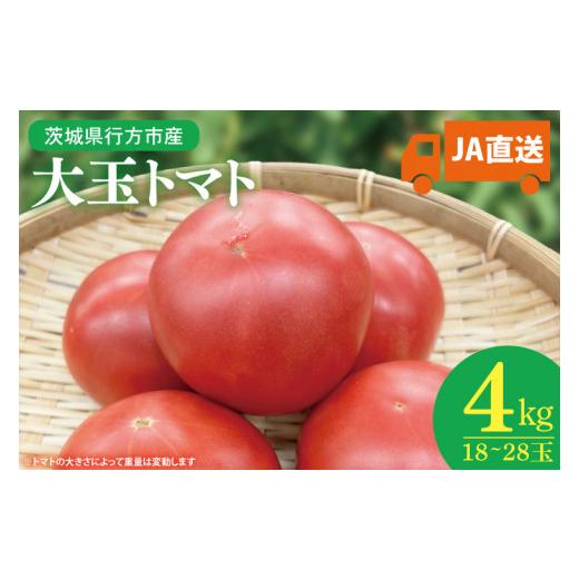 ふるさと納税 野菜類 トマト 茨城県 行方市 2026年9月より発送 JA直送「大玉トマト」約4kg(箱入り)(AE-104)