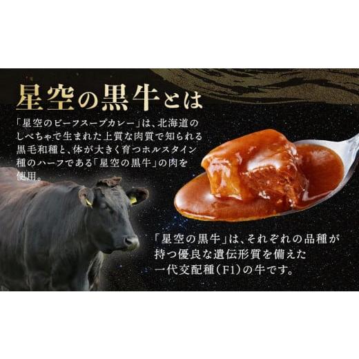 ふるさと納税 加工品等 レトルト 北海道 標茶町 「星空の黒牛」カレー・シチュー・スープカレーセットE 12食 ビーフシチュー カレー スープカレー 加工品 肉加…の画像