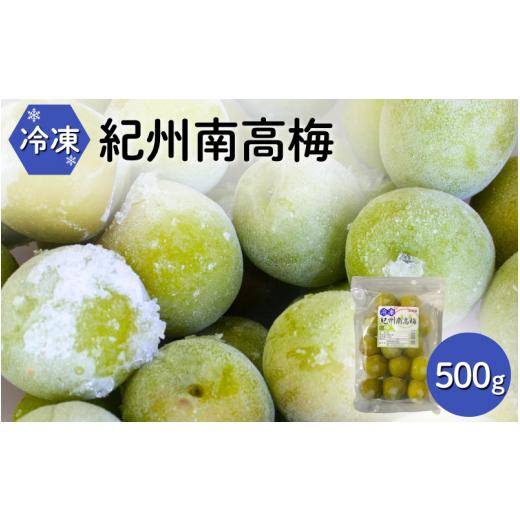 ふるさと納税 果物類 和歌山県 田辺市 冷凍南高梅 500g / 紀州南高梅 南高梅 青梅 梅 ウメ うめしごと 紀州 梅酒 梅ジュース 梅シロップ 和歌山県 田辺市 kng…