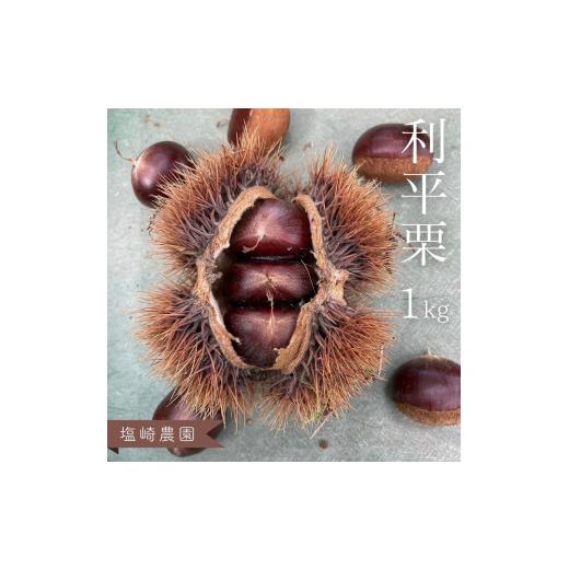 ふるさと納税 果物類 栗 埼玉県 伊奈町 利平栗 1kg 産地直送 生産者直送 生栗 低温熟成 2026年産 埼玉県産 塩崎農園 くり クリ 数量限定