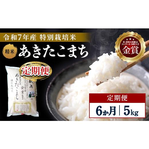ふるさと納税 米 あきたこまち 秋田県 湯沢市 定期便6ヶ月 令和7年産 特別栽培米 あきたこまち 精米 5kg 渡部 浩見
