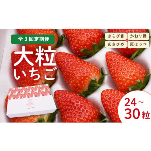 ふるさと納税 いちご 静岡県 藤枝市 2026年3月〜5月発送 3ヶ月定期便 いちご 大粒 24〜30粒 紅ほっぺ 章姫 あきひめ きらぴ香 かおりの ジャパン ベリー 静岡…