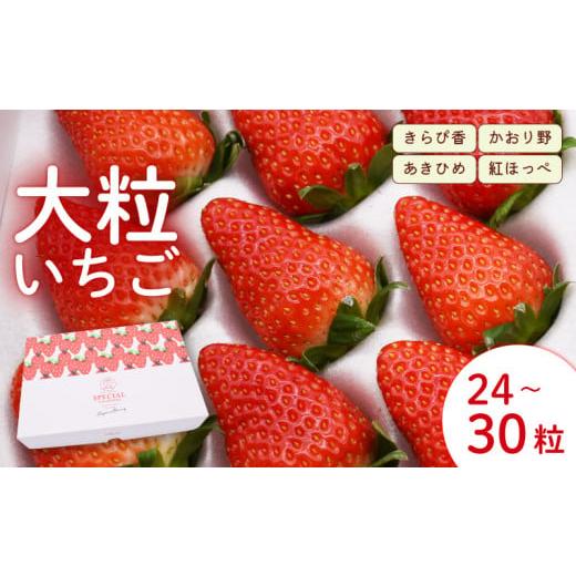 ふるさと納税 いちご 静岡県 藤枝市 先行予約:2026年1月発送 いちご 大粒 24〜30粒 苺 旬 産地 直送 フレッシュ イチゴ 紅ほっぺ 章姫 あきひめ きらぴ香 か…