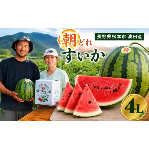 ふるさと納税 スイカ 長野県 松本市 先行受付：2027年発送 波田産 大玉