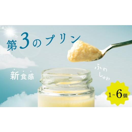 ふるさと納税 菓子 詰合せ 大阪府 松原市 ZIP で紹介されました 高級 第3のプリン 6個 ソース付き 高級 プリン 選べる 容量 個数 purin スイーツ デザート 高…