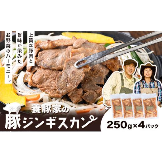 ふるさと納税 豚肉 焼肉・バーベキュー 北海道 当別町 0.65-305 養豚家の豚ジンギスカンセット 250g×4Pセット豚肉 肉 厳選 国産 厳選 お取り寄せ グルメ お…