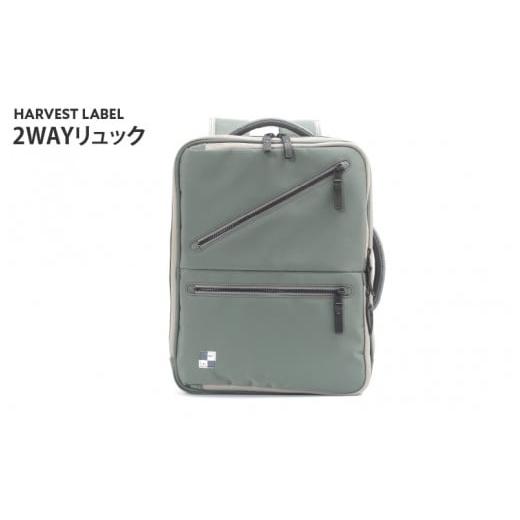 ふるさと納税 カバン リュック 大阪府 東大阪市 ハーヴェストレーベル 2WAYリュックHO-0272セージグリーン(SG) セージグリーン(SG)