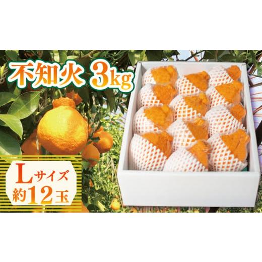 ふるさと納税 みかん・柑橘類 デコポン 徳島県 阿波市 先行予約 不知火 約3kg Lサイズ 12玉 しらぬい みかん 蜜柑 果物 フルーツ 柑橘 オレンジ ゼリー ジュー…