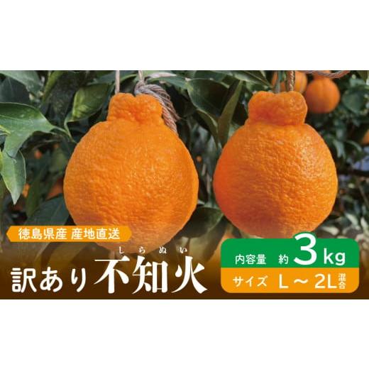 ふるさと納税 みかん・柑橘類 デコポン 徳島県 阿波市 先行予約 訳あり 不知火 約3kg L〜2L しらぬい みかん 蜜柑 果物 フルーツ 柑橘 オレンジ ゼリー ジュー…