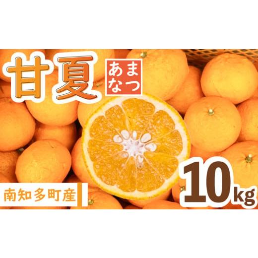 ふるさと納税 みかん・柑橘類 愛知県 南知多町 先行予約 1月より順次発送 甘夏 約10kg 国産 化学肥料不使用 あまなつ みかん 蜜柑 柑橘 果物 フルーツ デザー…