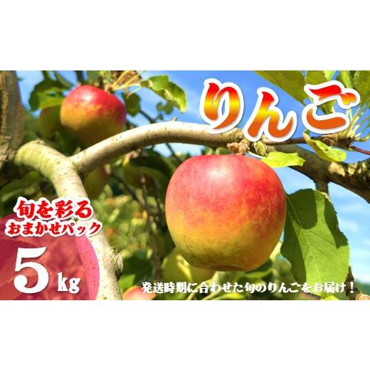 ふるさと納税 りんご 岩手県 北上市 北上市産 りんご ＼ 予約受付 9月中旬より発送予定/ 旬を彩るおまかせパック 厳選 / 贈答用 5キロ (約13〜20玉) 林檎 …