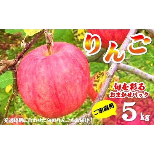 ふるさと納税 りんご 岩手県 北上市 北上市産 りんご ＼ 予約受付 26年9月発送開始予定 / 旬を彩るおまかせパック 家庭用 5キロ (約13〜20玉) 林檎 リンゴ 5…