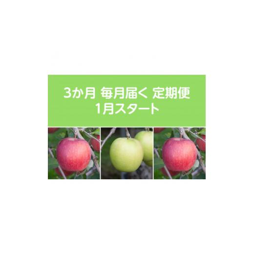 ふるさと納税 りんご 青森県 黒石市 発送月固定定期便 [2027年1月より順次発送]甘味系・青森りんご約3kg 全3回 4051691