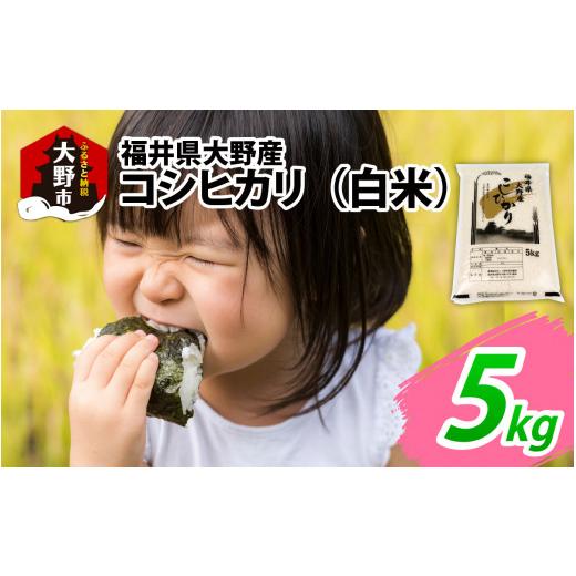 ふるさと納税 米 コシヒカリ 福井県 大野市 先行予約 令和8年度産 新米 福井県大野産コシヒカリ(白米)5kg