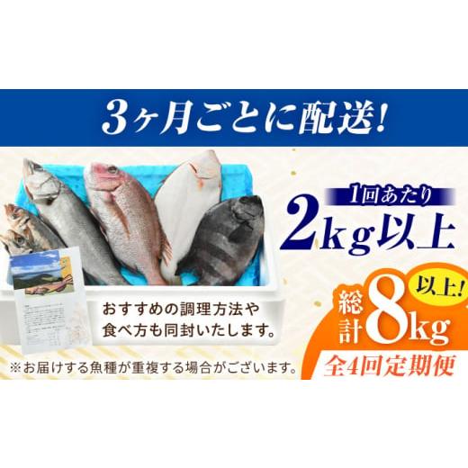 ふるさと納税 旬の鮮魚等 福井県 小浜市  定期便 全4回(3ヶ月毎発送) 下処理済 旬の天然鮮魚 2kg 以上 おまかせ セット 加福鮮魚 「若狭小浜港産地直送」  小…の画像