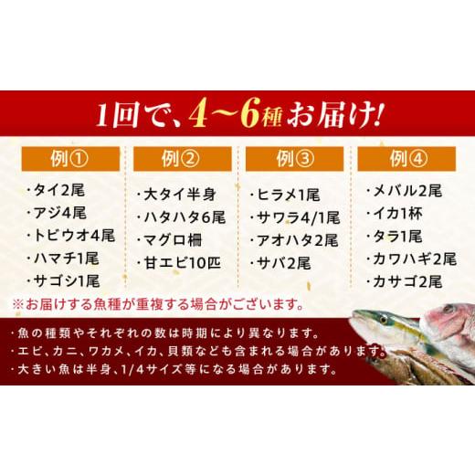 ふるさと納税 旬の鮮魚等 福井県 小浜市  定期便 全4回(3ヶ月毎発送) 下処理済 旬の天然鮮魚 2kg 以上 おまかせ セット 加福鮮魚 「若狭小浜港産地直送」  小…の画像